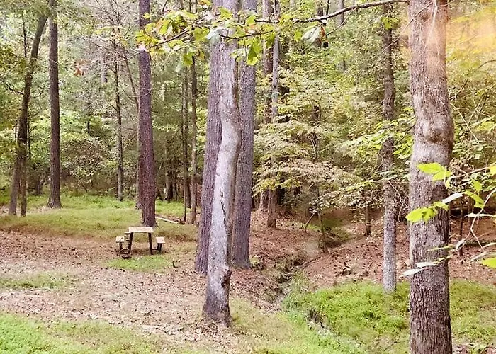 Unique Spacious Dome Nestled In The Forest For A Peaceful Glamping Retreat Near Chapel Hill, North Carolina